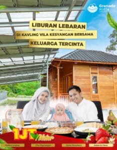 WhatsApp Image 2024 11 04 at 13.41.58 1