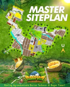 WhatsApp Image 2025 01 10 at 17.38.14