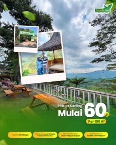 WhatsApp Image 2025 01 11 at 19.15.24