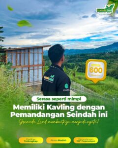 WhatsApp Image 2025 01 13 at 09.10.05